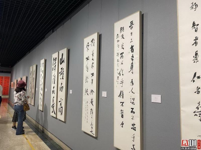 致敬“深圳精神” 孫憲華書(shū)法作品展深圳美術(shù)館揭幕