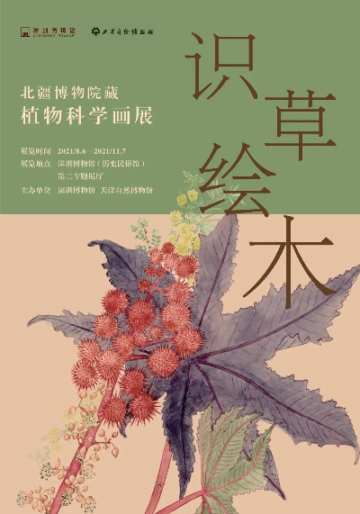 識草繪木——北疆博物院藏植物科學(xué)畫(huà)展