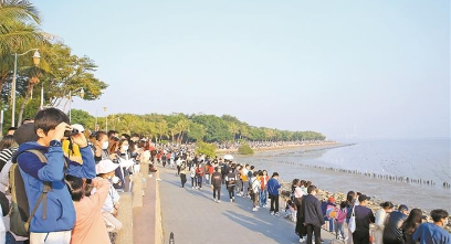 元旦假期深圳公園總客流量208.3萬(wàn)人次