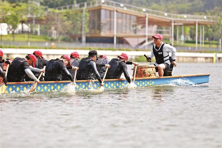 茅洲河再現龍舟擊水