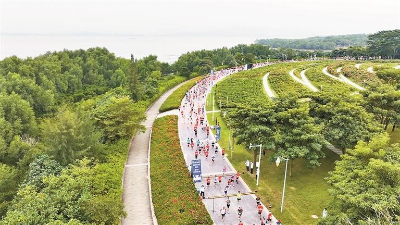 在山海連城間跑出“速度深圳”