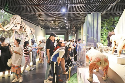 “國際博物館日”深圳博物館三大展覽同時(shí)開(kāi)啟