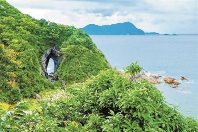 文旅芬芳五月天 約會(huì )深圳山海間