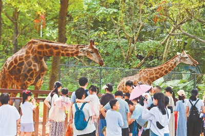 動物節(jié)趣活節(jié)親子游樂翻天